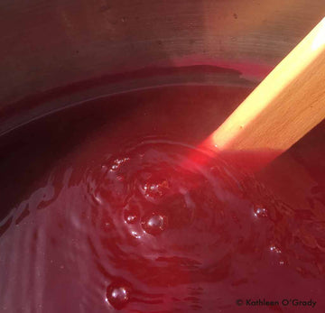 Dyeing with Cochineal