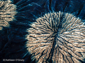 The Magic of Indigo